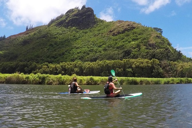 Wailua River & Waterfalls Kayak Tour: Expert-Guided Adventure - Price and Value: Does $145.86 Make Sense?