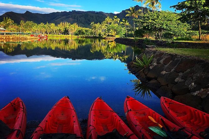 Wailua River & Waterfalls Kayak Tour: Expert-Guided Adventure - The Secret Falls Goal: Uluwehi Falls, 110 Feet, and a Swim Break