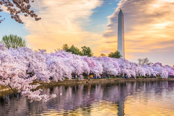Washington DC Day Tour from New York City - Key Highlights You’ll Care About