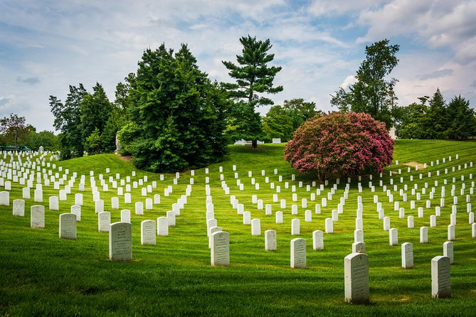 Washington DC Day Tour from New York City - One-Day Washington DC From New York: What This Tour Really Delivers