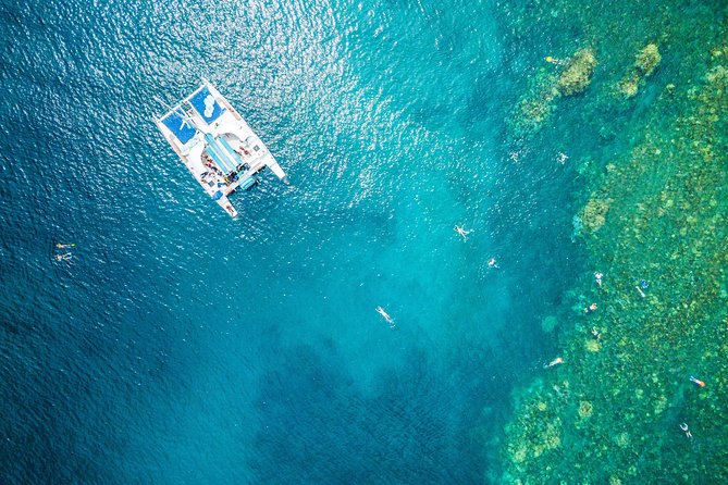 West Maui Half Day Snorkel from Ka’anapali Beach - West Maui from Ka’anapali: the half-day sweet spot