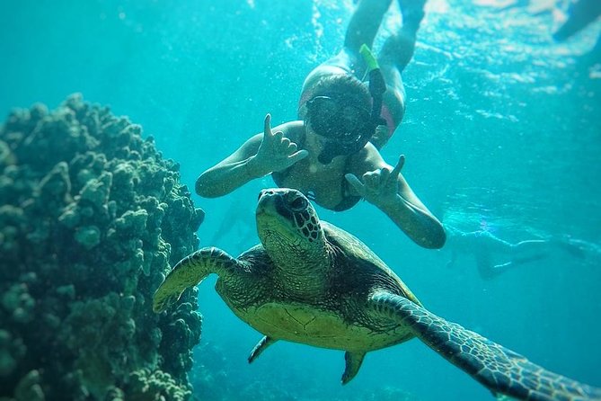 West Maui Half Day Snorkel from Ka’anapali Beach - Gear, safety, and fitness: what you really need to know