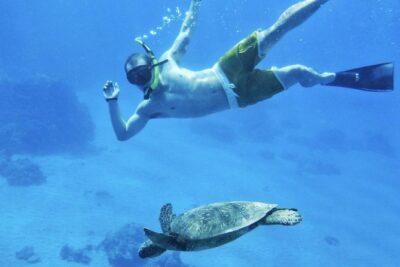 West Maui Half Day Snorkel from Ka’anapali Beach - How the captain’s stop choices affect your snorkeling