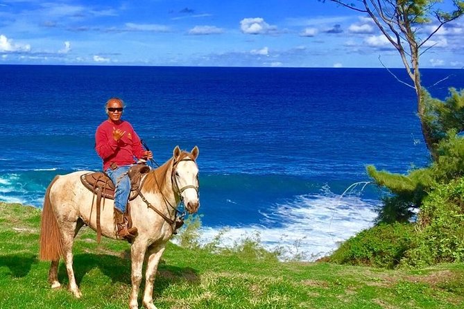 West Maui Mountain Waterfall and Ocean Tour via Horseback - Key Things To Know Before You Ride in West Maui