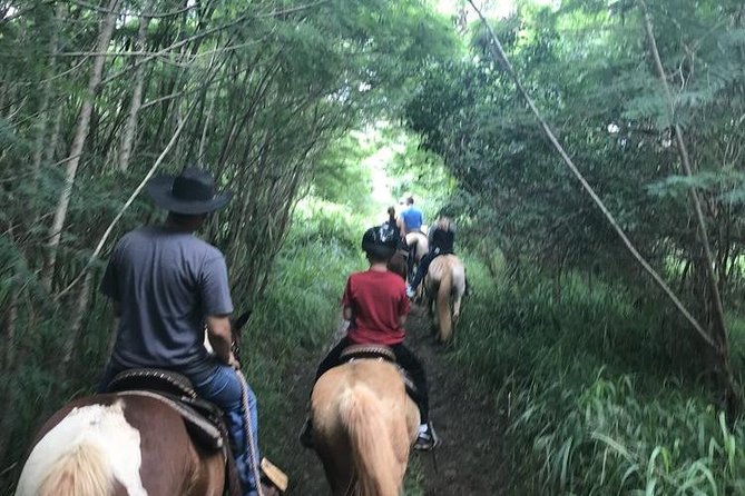 West Maui Mountain Waterfall and Ocean Tour via Horseback - Oceanfront Riding Without the Beach: What You Actually Get