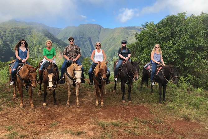West Maui Mountain Waterfall and Ocean Tour via Horseback - Petting Zoo Intermission: Quick Animal Time Before and After