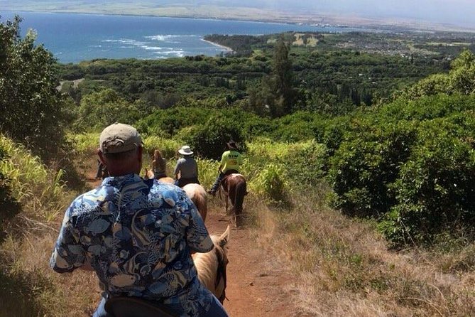 West Maui Mountain Waterfall and Ocean Tour via Horseback - Downhill Reality Check: Pace, Steep Slopes, and Dust You’ll Feel