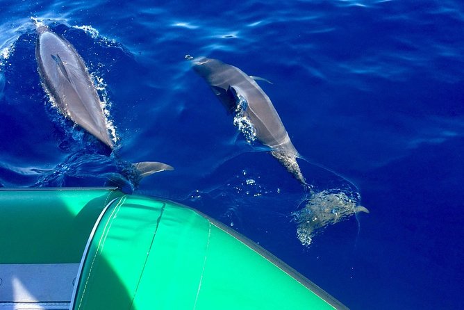 West Maui Snorkeling Experience by Boat from Ka'anapali - Key Things I’d Focus On