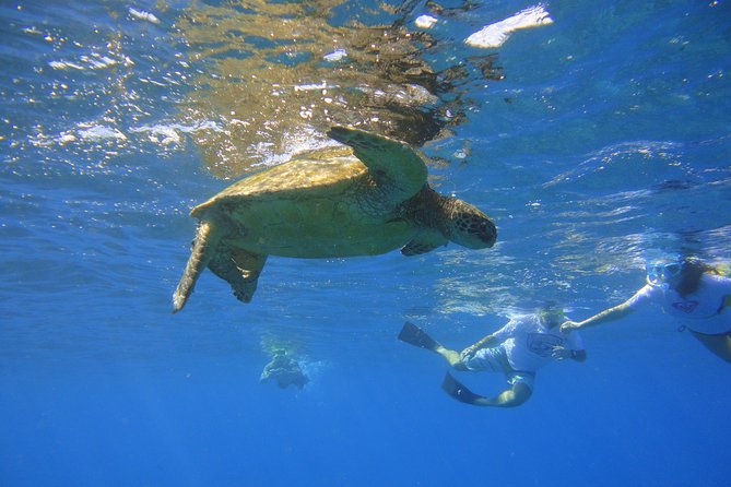 West Maui Snorkeling Experience by Boat from Ka'anapali - West Maui Snorkeling From Kaanapali: 5 Hours on a Small Boat