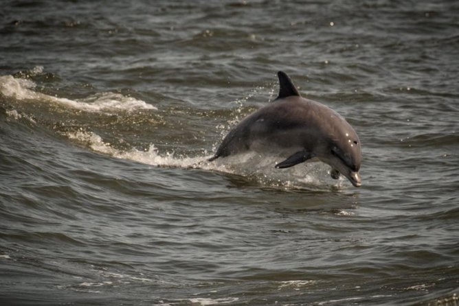 Whale and Dolphin Watching Cruise from Cape May - First up: where this tour starts in Cape May