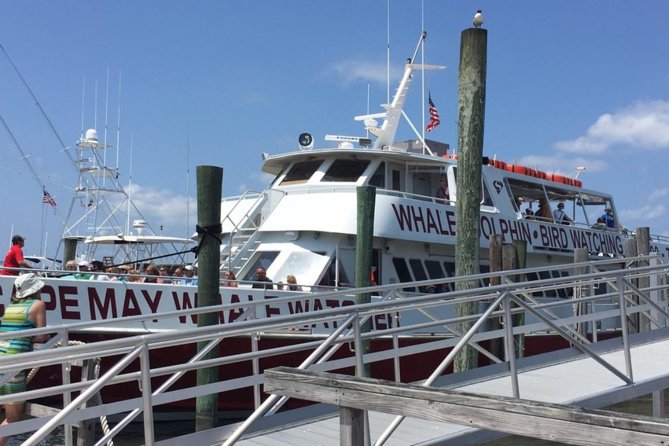 Whale and Dolphin Watching Cruise from Cape May - On-board comfort: restrooms, snack bar, and drinks