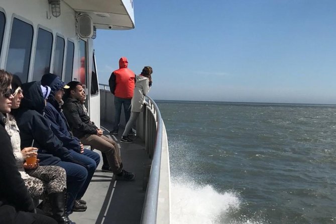 Whale and Dolphin Watching Cruise from Cape May - Who this tour fits best (and who should plan differently)