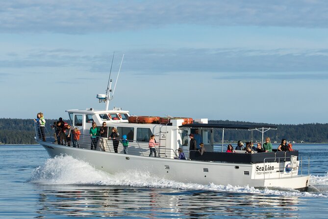 Whale Watching from Friday Harbor - Your 4-Hour Half-Day Plan on the MV Sea Lion
