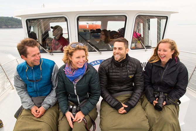 Whale Watching from Friday Harbor - Comfort on the Water: Heated Cabin, Walk-Around Deck, and On-Board Snacks