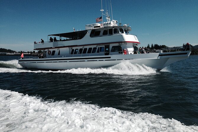 Whale Watching from Friday Harbor - Getting There From Seattle: Ferry Timing Can Make or Break the Day