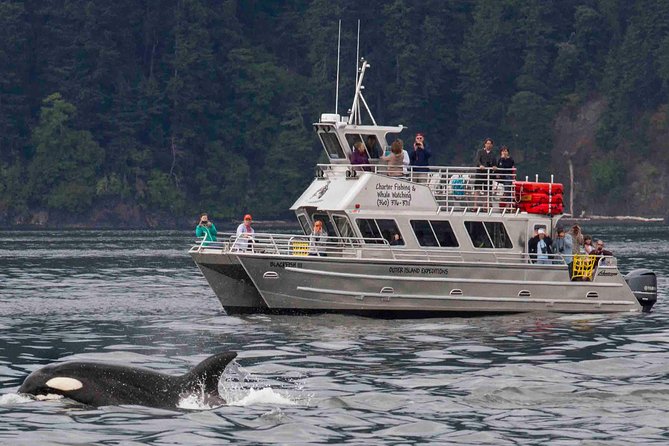Whale Watching Tour from Anacortes - Getting aboard: Skyline Way and a fast start on the water