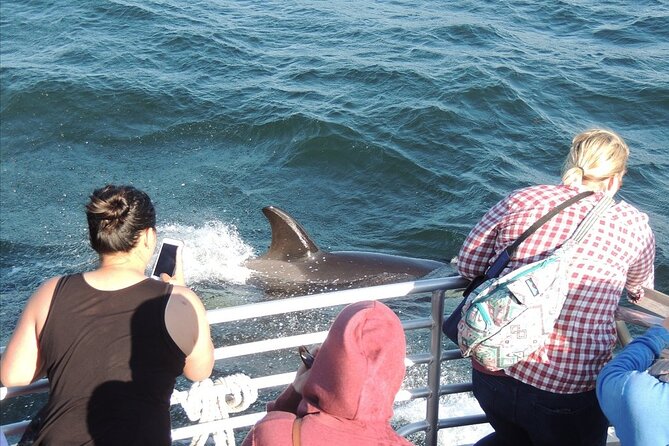 Whale Watching Tour from Anacortes - Comfort and timing: what to pack for a 3–4 hour chill session
