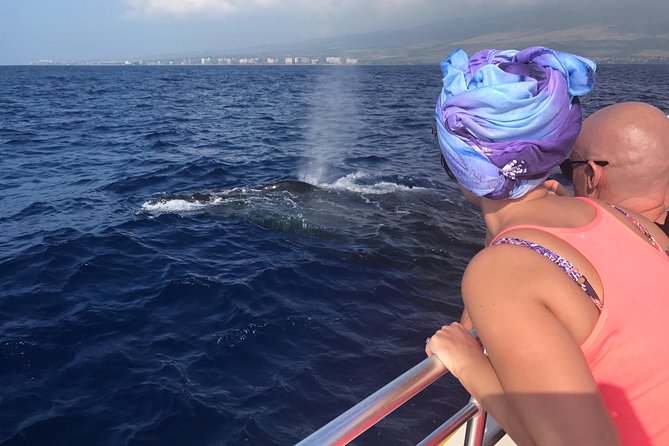 WHALES GUARANTEED Maui Whale Watching Makai Adventures - Quick reasons I’d pick this whale watch