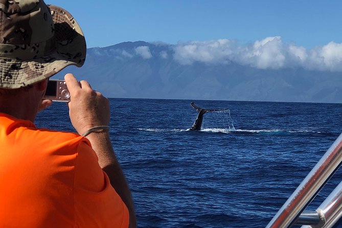 WHALES GUARANTEED Maui Whale Watching Makai Adventures - Comfort on a Rocking Boat: What to Pack and What to Expect