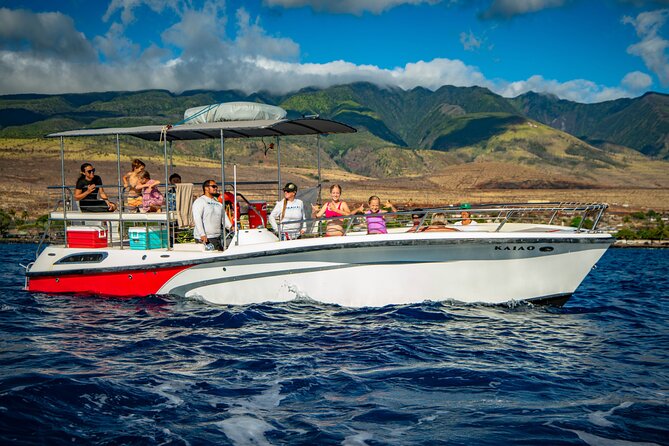 WHALES GUARANTEED Maui Whale Watching Makai Adventures - Family-Friendly Watching That Works for Kids