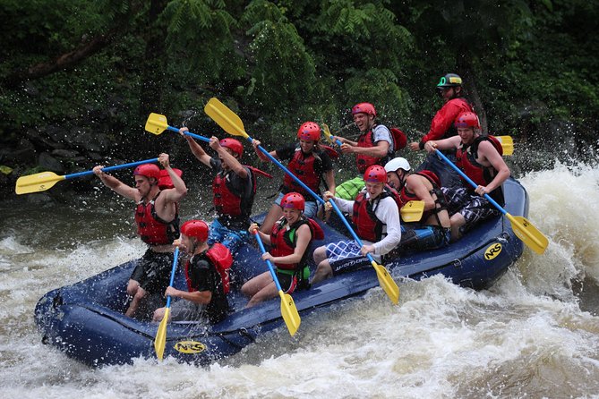 White Water Rafting Experience on the Upper Pigeon River - Quick hits before you go