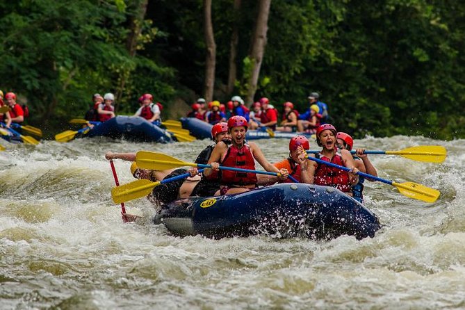 White Water Rafting Experience on the Upper Pigeon River - Upper Pigeon River rapids: the level of adrenaline (and the scenery)