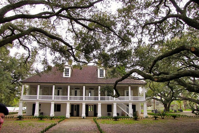 Whitney Plantation Tour with Transportation from New Orleans - The heart of Whitney: first-person narratives and exhibits that don’t soften anything