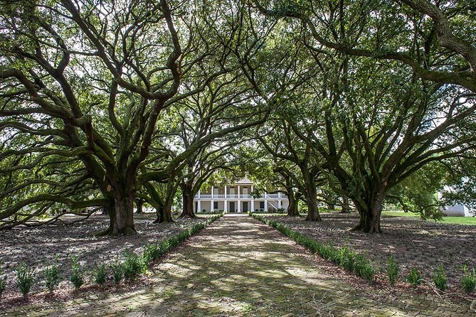 Whitney Plantation Tour with Transportation from New Orleans - Comfort vs. control: how the bus drive can help (or distract)