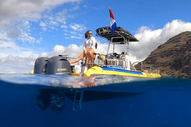 Wild Dolphin Watching and Snorkel Safari Off West Coast of Oahu - Quick hits before you go