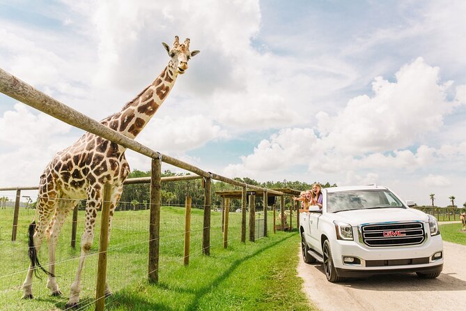 Wild Florida Drive-Thru Safari and Gator Park Admission - Key things to know before you go