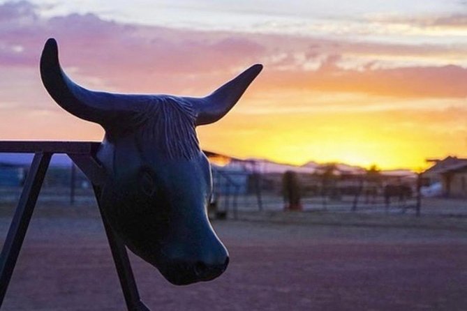 Wild West Sunset Horseback Ride with Dinner from Las Vegas - Price and value: why $159.99 can make sense for a 5-hour evening