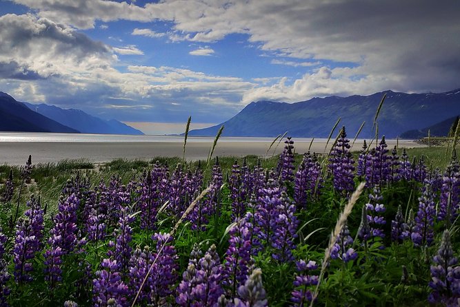 Wilderness, Wildlife, Glacier Experience from Anchorage - Key things I’d plan around