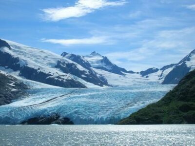 Wilderness, Wildlife, Glacier Experience from Anchorage - Alaska Wildlife Conservation Center: Bears, Wolves, and Bison With a Guide