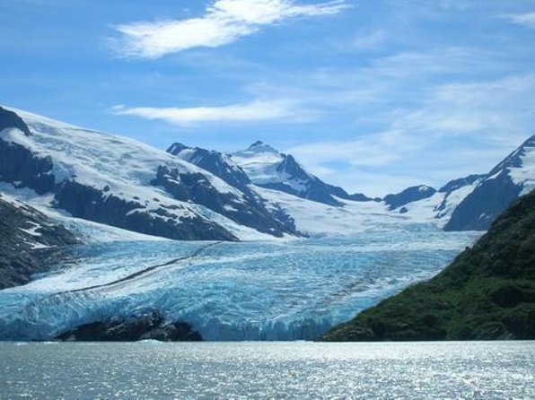 Wilderness, Wildlife, Glacier Experience from Anchorage - Alaska Wildlife Conservation Center: Bears, Wolves, and Bison With a Guide