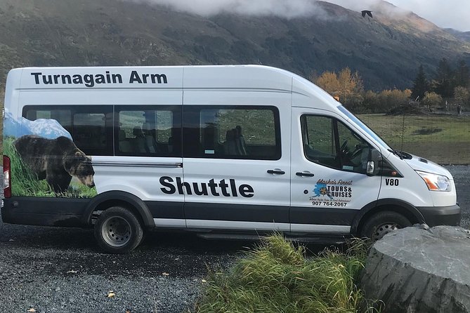 Wildlife and Glaciers with a walk in the Rainforest - Beluga Point in Chugach State Park: your first wildlife checkpoint