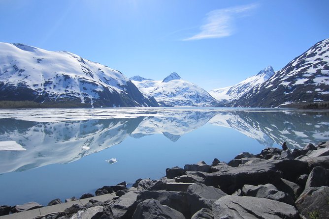 Wildlife and Glaciers with a walk in the Rainforest - Alaska Wildlife Conservation Center (AWCC): why this stop feels worth it