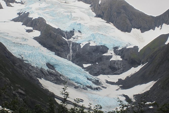 Wildlife and Glaciers with a walk in the Rainforest - Winter realities: how cold, wind, and window fog can change the experience