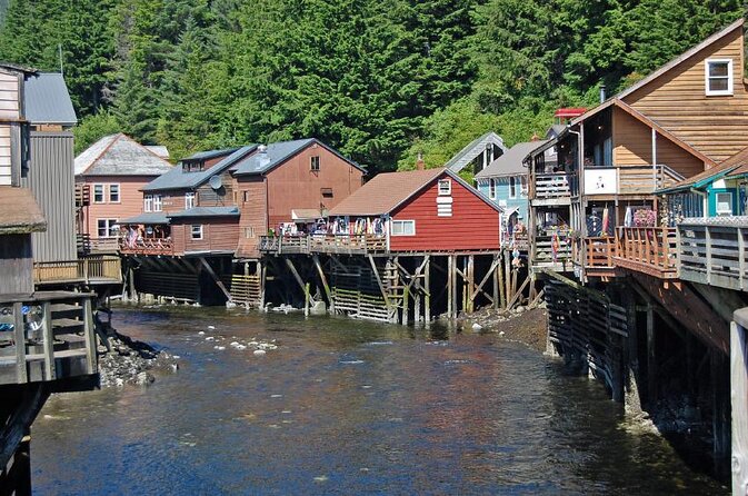 Wildlife Viewing, Sightseeing and Whale Watching Quest - Key things to know before you go