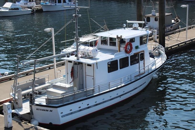 Wildlife Viewing, Sightseeing and Whale Watching Quest - The route: Thomas Basin to Tongass Narrows to the eagle-and-seal stops