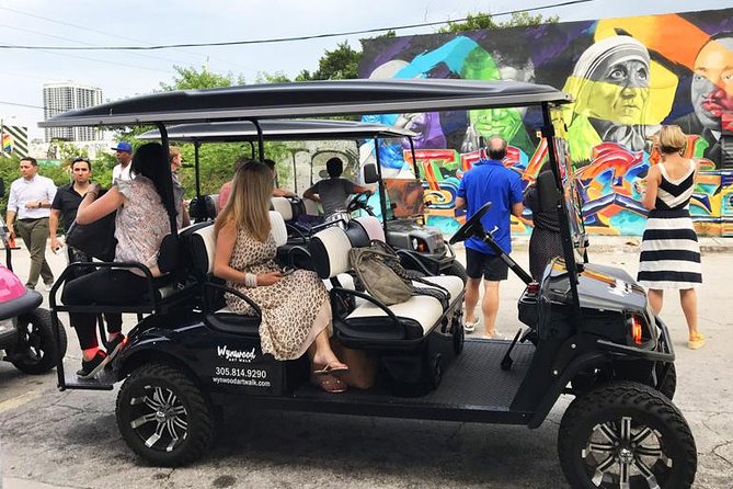 Wynwood Graffiti Golf Cart Small-Group Tour - The Photo Advantage: How to Get Better Shots in Real Light