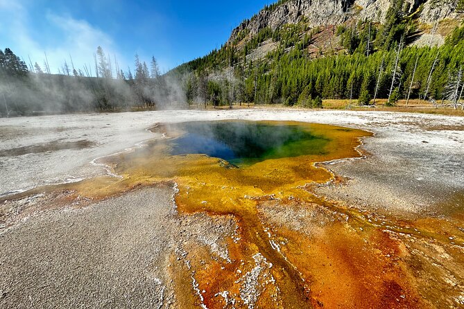 Yellowstone Lower Loop Full-Day Tour - Price and logistics: what your $325 buys in the real world
