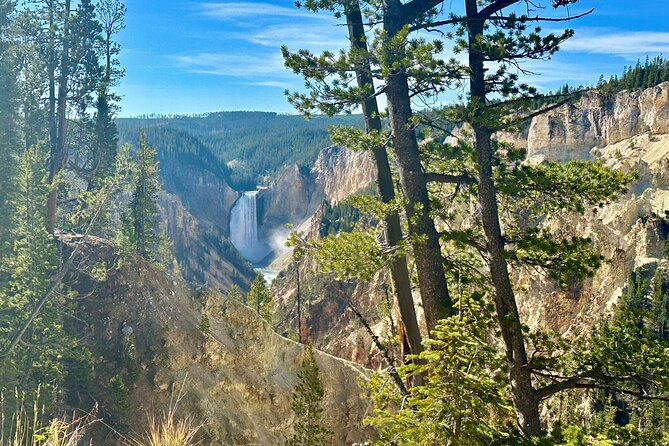 Yellowstone Lower Loop Full-Day Tour - Wildlife spotting: what improves your odds (and what won’t change)