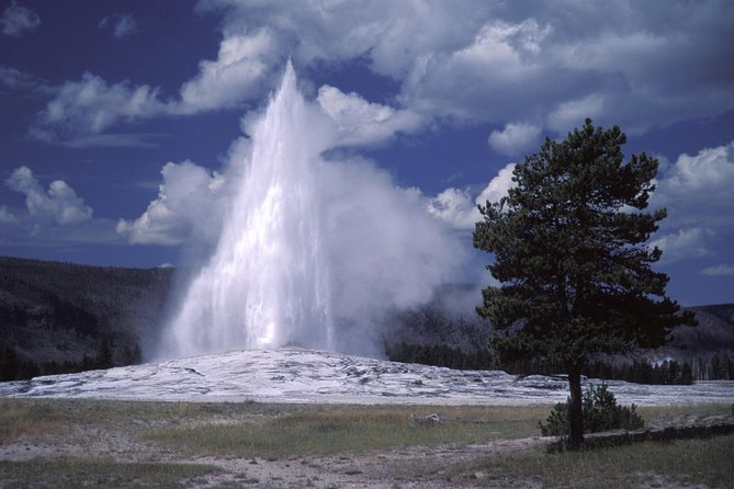 Yellowstone Lower Loop Full-Day Tour - Comfort and food on a long day: lunch, snacks, and the best kind of break