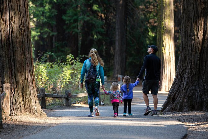 Yosemite Highlights & Giant Sequoias Day Tour from San Francisco - The 5:20am start: where the long day starts paying off