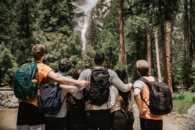 Yosemite Highlights & Giant Sequoias Day Tour from San Francisco - Tunnel View: the postcard made useful