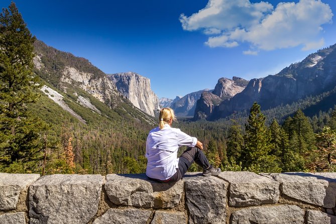 Yosemite Highlights & Giant Sequoias Day Tour from San Francisco - Bridalveil Fall: a short stop with misty drama