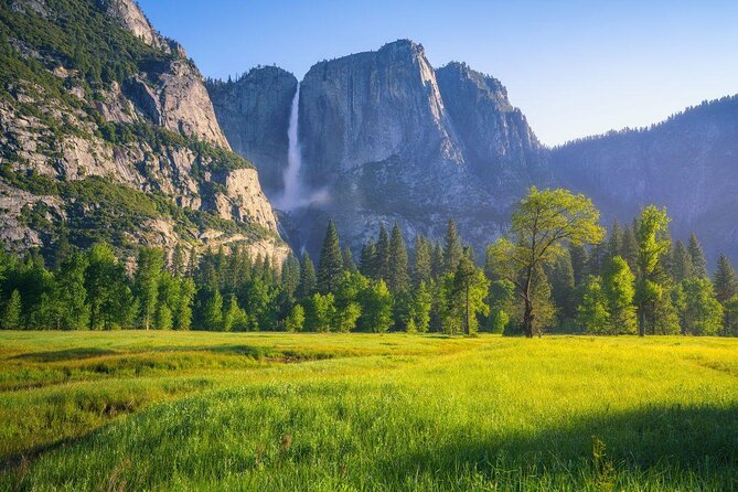 Yosemite Highlights Small Group Tour - Key Highlights to Know Before You Go