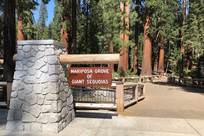 Yosemite Highlights Small Group Tour - Why This Yosemite Highlights Day Works Better Than You Think