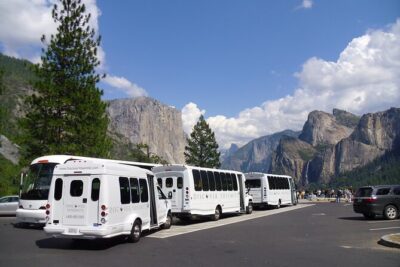 Yosemite Highlights Small Group Tour - The Small-Group Van Experience: Comfort on Twisty Roads