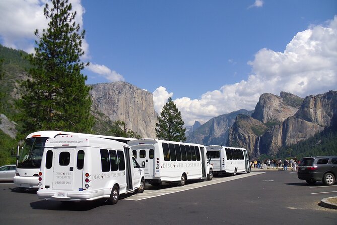 Yosemite Highlights Small Group Tour - The Small-Group Van Experience: Comfort on Twisty Roads